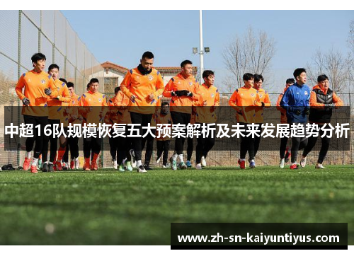 中超16队规模恢复五大预案解析及未来发展趋势分析 中超16队规模恢复五大预案解析及未来发展趋势分析