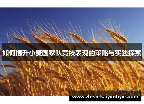 如何提升小麦国家队竞技表现的策略与实践探索