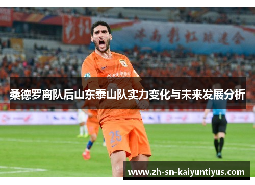 桑德罗离队后山东泰山队实力变化与未来发展分析