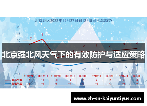 北京强北风天气下的有效防护与适应策略