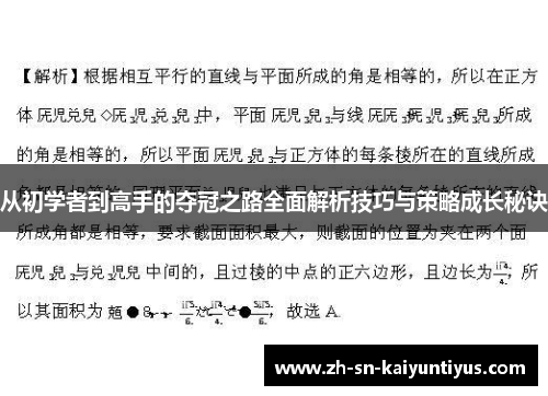 从初学者到高手的夺冠之路全面解析技巧与策略成长秘诀