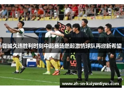 蓉城久违胜利时刻中超赛场燃起激情球队再迎新希望