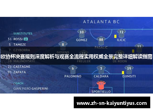 欧协杯决赛规则深度解析与观赛全流程实用权威全景完整详细解读指南