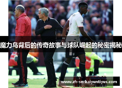 魔力鸟背后的传奇故事与球队崛起的秘密揭秘